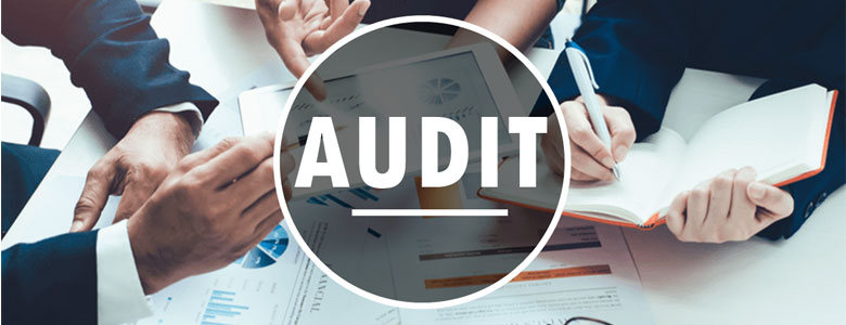 Audit And Assurance Services in Mumbai
