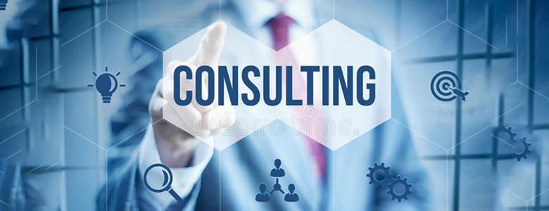 Business Management Advisory service in Mumbai services-1